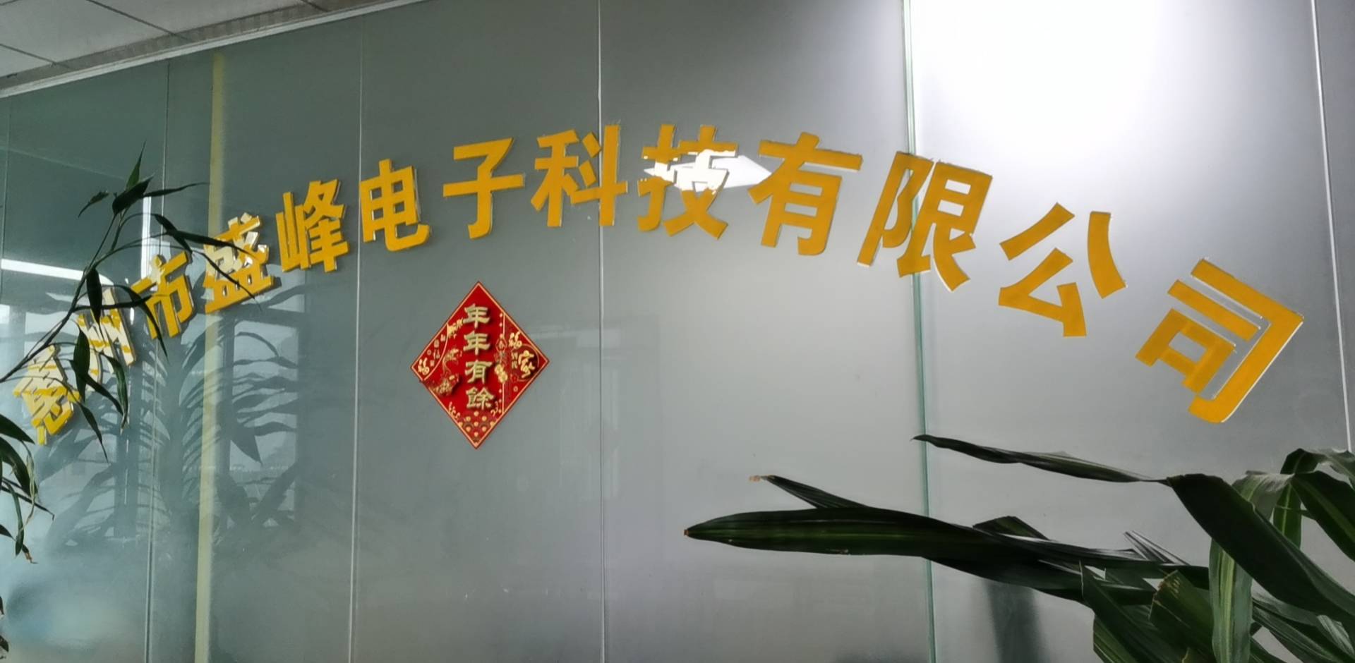 惠州市盛峰电子科技有限公司