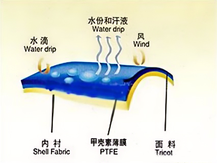 TPU膜